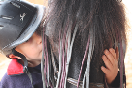 enfant embrassant la tête d'un poney